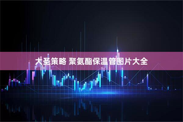 大圣策略 聚氨酯保温管图片大全
