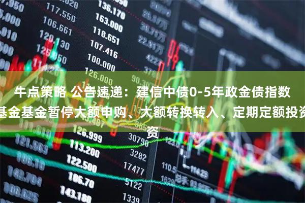 牛点策略 公告速递：建信中债0-5年政金债指数基金基金暂停大额申购、大额转换转入、定期定额投资