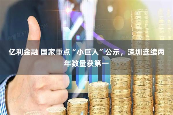 亿利金融 国家重点“小巨人”公示，深圳连续两年数量获第一