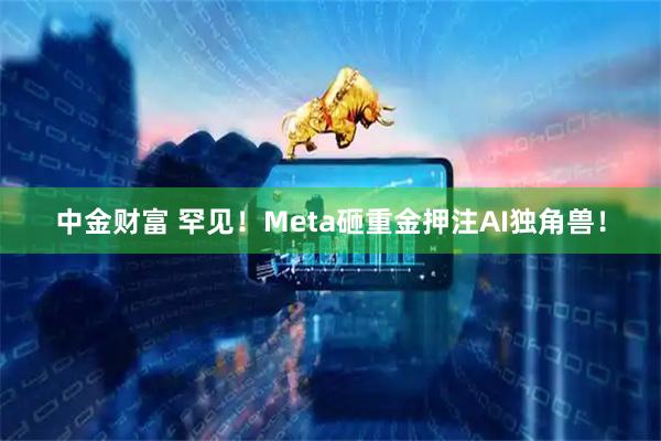 中金财富 罕见！Meta砸重金押注AI独角兽！