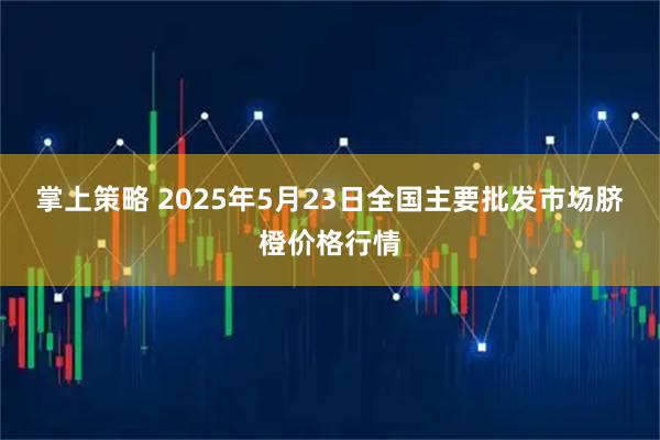 掌上策略 2025年5月23日全国主要批发市场脐橙价格行情