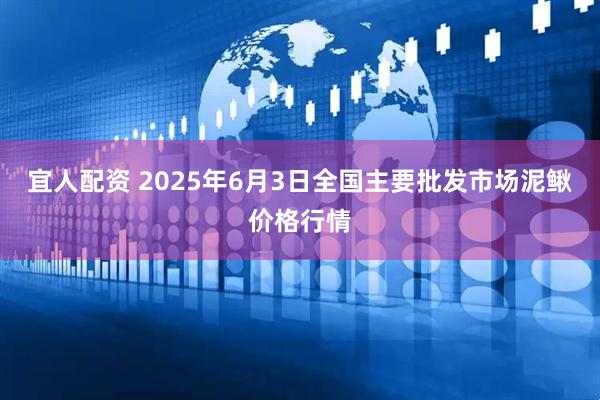 宜人配资 2025年6月3日全国主要批发市场泥鳅价格行情
