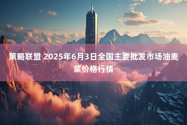 策略联盟 2025年6月3日全国主要批发市场油麦菜价格行情