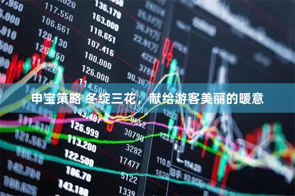 申宝策略 冬绽三花,献给游客美丽的暖意
