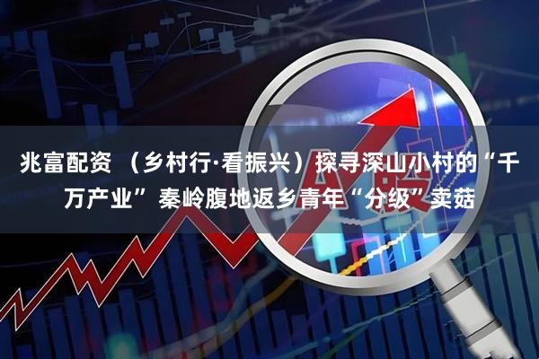 兆富配资 （乡村行·看振兴）探寻深山小村的“千万产业” 秦岭腹地返乡青年“分级”卖菇
