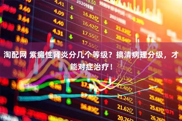 淘配网 紫癜性肾炎分几个等级？搞清病理分级，才能对症治疗！